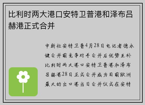 比利时两大港口安特卫普港和泽布吕赫港正式合并